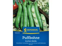 Kiepenkerl Puffbohne "Dreifach weiße"< Töpfe