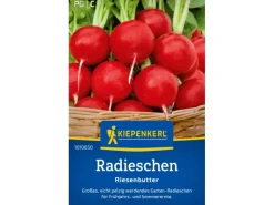 Clearance Kiepenkerl Radieschen Radies "Riesenbutter"
