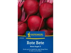 Outlet Kiepenkerl Rote Rüben "Rote Kugel 2"