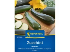 Kiepenkerl Töpfe<Zucchini "Diamant" F1-Hybride
