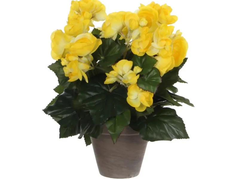 Mica Decorations Kunstblume Begonia Gelb Topf-Ø 11,5 cm H 30 cm, Ø: 25 cm< Töpfe