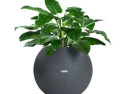 Lechuza Töpfe<® Übertopf Puro Ø 50 cm integriertes Erdbewässerungssystem