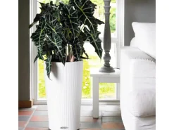 Lechuza Töpfe<® Pflanzgefäß Cilindro Color Ø 32 cm x 56 cm