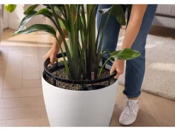Lechuza Töpfe<® Pflanzgefäß Classico Color Ls 43 Ø 43 cm