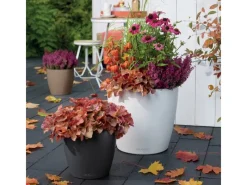 Sale Lechuza ® Pflanzgefäß Classico Color 35 Schiefer Ø 35 cm Grau