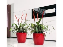 Discount Lechuza ® Pflanzgefäß Classico Premium LS Ø 22 cm x 21 cm Scarlet hochglanz Rot