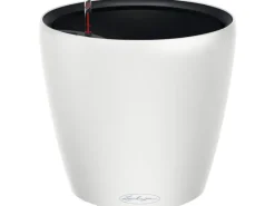 Lechuza ® Pflanzgefäß Classico Color Ls 35 Ø 35 cm< Töpfe