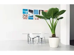 Lechuza ® Pflanzgefäß Classico Premium Ø 60 cm x 56 cm hochglanz< Töpfe