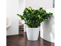Discount Lechuza ® Pflanzgefäß Classico Color 35 Ø 35 cm Weiß