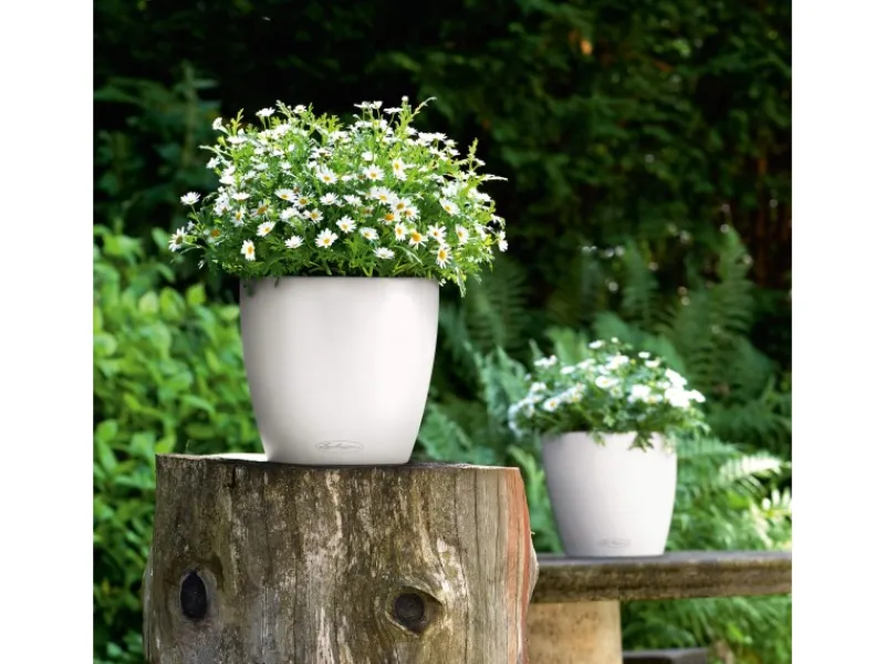 Discount Lechuza ® Pflanzgefäß Classico Color 35 Ø 35 cm Weiß