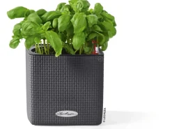 New Lechuza ® Pflanzgefäß Cube Color 14 Schiefer 14 cm x 14 cm Grau