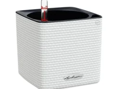 Lechuza ® Pflanzgefäß Cube Color 14 14 cm x 14 cm< Töpfe