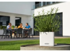 Lechuza ® Pflanzgefäß Cube Color 14 14 cm x 14 cm< Töpfe