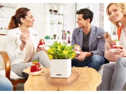 Lechuza ® Pflanzgefäß Cube Color 14 14 cm x 14 cm< Töpfe