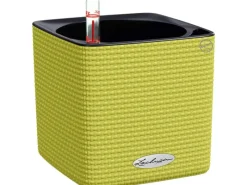 Lechuza Töpfe<® Pflanzgefäß Cube Color 14 cm x 14 cm x 14 cm Limetten