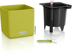 Lechuza Töpfe<® Pflanzgefäß Cube Color 14 cm x 14 cm x 14 cm Limetten
