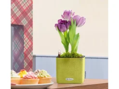 Lechuza Töpfe<® Pflanzgefäß Cube Color 14 cm x 14 cm x 14 cm Limetten