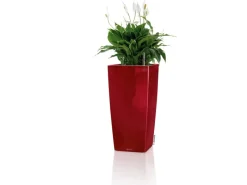 Lechuza ® Pflanzgefäß Cubico Premium 50 cm x 50 cm Scarlet hochglanz< Töpfe