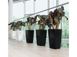 Sale Lechuza ® Pflanzgefäß Cubico Premium 50 cm x 50 cm hochglanz Schwarz