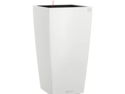 Lechuza ® Pflanzgefäß Cubico Color 22 22 cm x 22 cm< Töpfe