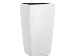 Lechuza Töpfe<® Pflanzgefäß Cubico Color 40 40 cm x 40 cm