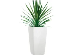 Lechuza Töpfe<® Pflanzgefäß Cubico Color 30 30 cm x 30 cm