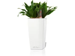 Lechuza Töpfe<® Pflanzgefäß Mini-Cubi hochglanz 10 cm x 10 cm