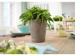 Discount Lechuza ® Pflanzgefäß Mini-Deltini hochglanz Ø 10 cm Taupe