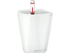 Best Lechuza ® Pflanzgefäß Mini-Deltini hochglanz Ø 10 cm Weiß