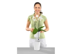 Best Lechuza ® Pflanzgefäß Mini-Deltini hochglanz Ø 10 cm Weiß