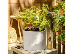 Lechuza Töpfe<® Pflanzgefäß Pila Color Planter 35 cm x 35 cm x 33 cm Licht