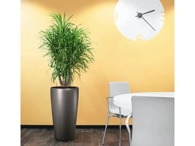 Lechuza ® Pflanzgefäß Rondo Premium Ø 32 cm x 56 cm metallic< Töpfe