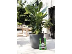Lechuza ® Pflanzsubstrat Pon XXL 25 l Neutral< Töpfe