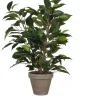 Mica Decorations Töpfe<Kunstpflanze Ficus Natasja Grün H 40 cm, Ø: 30 cm