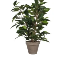 Mica Decorations Töpfe<Kunstpflanze Ficus Natasja Grün H 40 cm, Ø: 30 cm