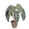 Best Mica Decorations Kunstpflanze Alocasia im Blumentopf Stan Ø 36 cm x 44 cm Grün