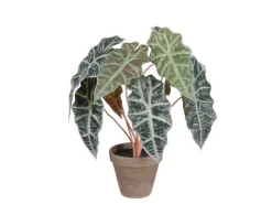 Best Mica Decorations Kunstpflanze Alocasia im Blumentopf Stan Ø 36 cm x 44 cm Grün