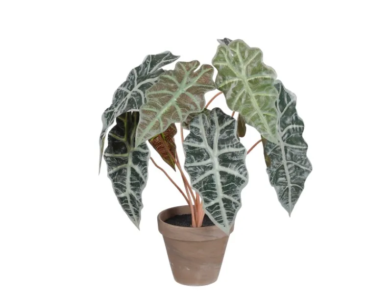 Best Mica Decorations Kunstpflanze Alocasia im Blumentopf Stan Ø 36 cm x 44 cm Grün