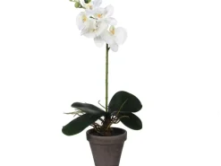 Sale Mica Decorations Kunstpflanze Phalaenopsis im Topf Ø 13 cm x 48 cm Weiß
