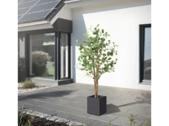 ML-Design Künstliche Eukalyptus 180cm Groß Kunstpflanze Naturholzstamm< Töpfe