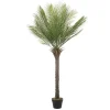 ML-Design Töpfe<Künstliche Palme 150 cm Groß Tropische Kunstpalme im Topf
