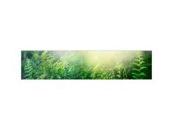 Küchenrückwände<MySpotti Küchenrückwand Profix Cucina Farn 270 x 60 cm Farngrün