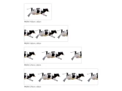 Küchenrückwände<MySpotti Küchenrückwand Profix Cucina Fliegende Kuh 270 x 60 cm Schwarz-Weiß