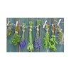 Küchenrückwände<MySpotti Küchenrückwand Profix Cucina Kräuter Provence 100 x 60 cm Grün