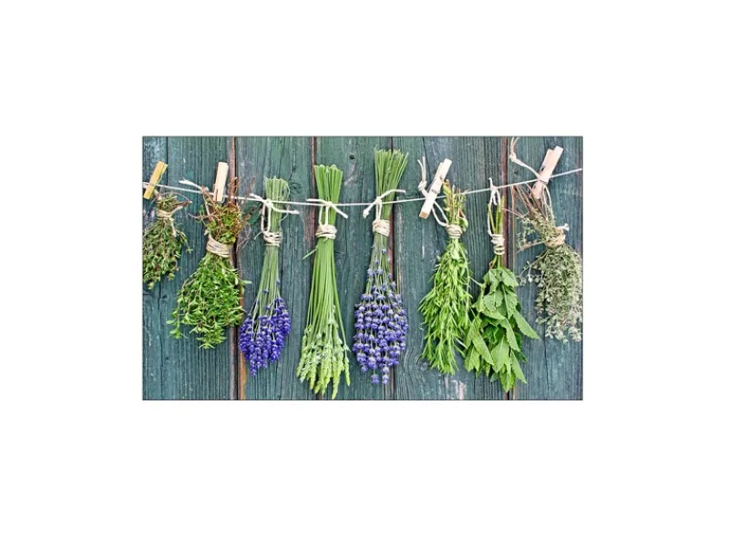 Küchenrückwände<MySpotti Küchenrückwand Profix Cucina Kräuter Provence 100 x 60 cm Grün