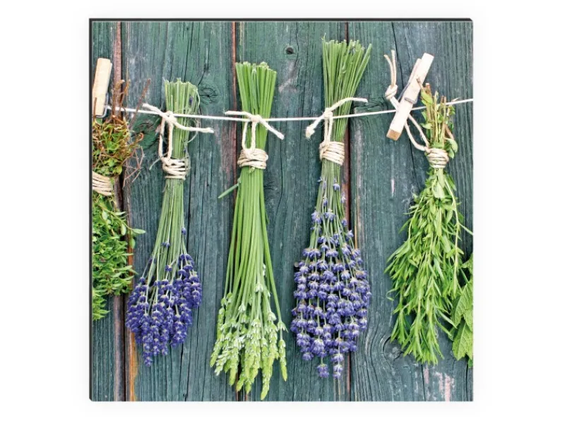 Küchenrückwände<MySpotti Küchenrückwand Profix Cucina Kräuter Provence 100 x 60 cm Grün