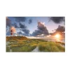 MySpotti Küchenrückwand Profix Cucina Leuchtturmpanorama 100 x 60 cm Düne< Küchenrückwände
