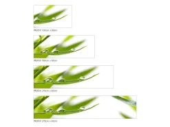 Clearance MySpotti Küchenrückwand Profix Cucina Dew Drop 270 x 60 cm Grasgrün