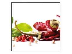 Sale MySpotti Küchenrückwand Profix Cucina Herbs und Spice 210 x 60 cm Rot-Grün