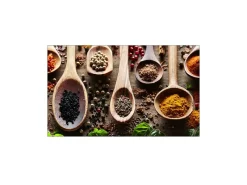 MySpotti Küchenrückwand Profix Cucina Spicy Kitchen 100 x 60 cm Bunt< Küchenrückwände